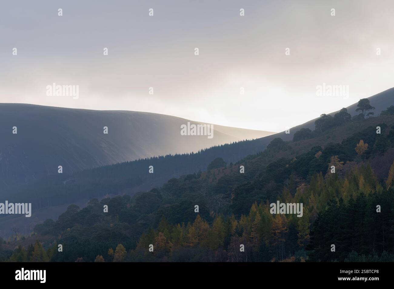 Tramonto su Glen Feshie, Cairngorms, Scozia Foto Stock