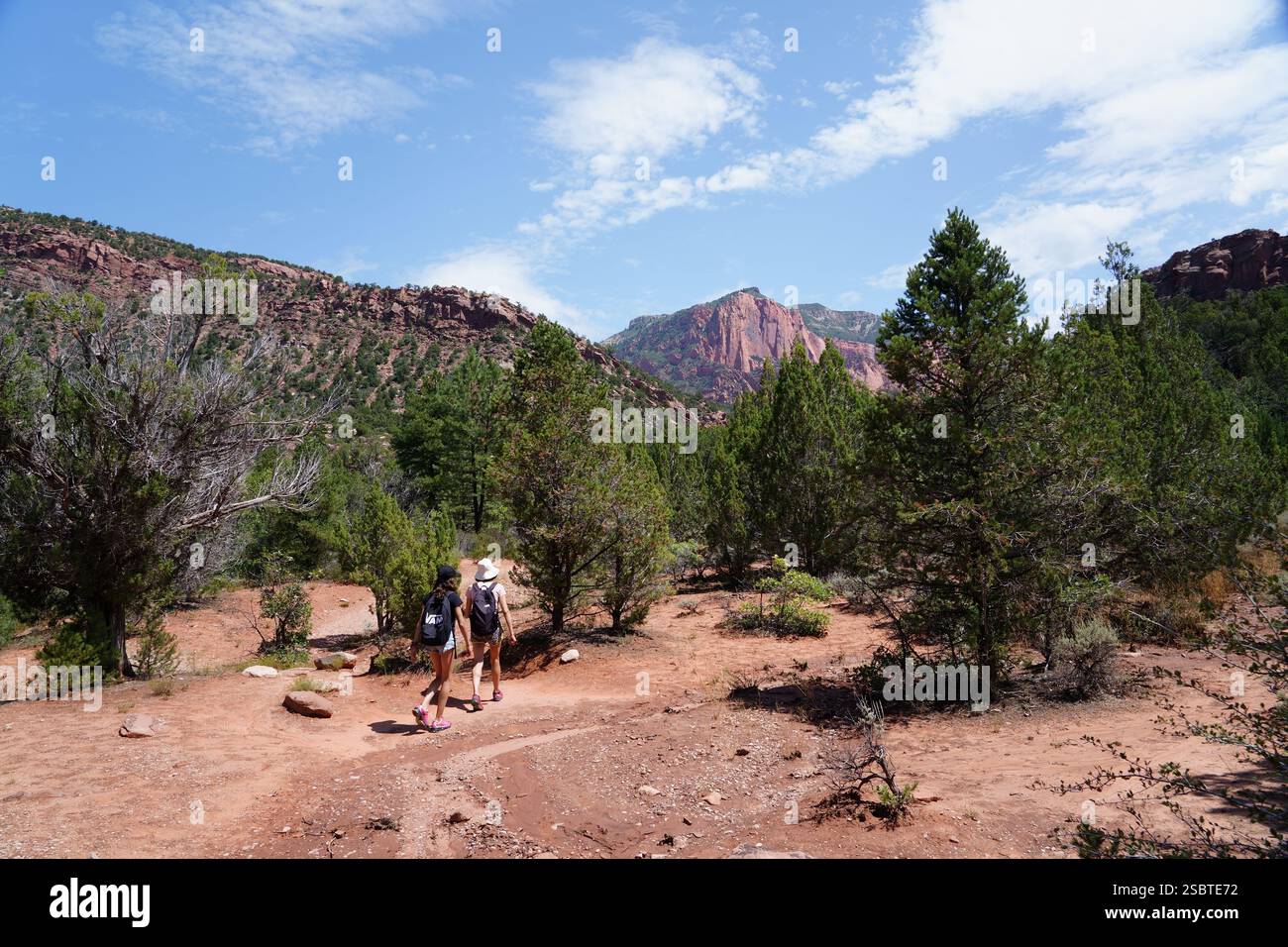 Taylor Creek Trail - Zion National Park Foto Stock