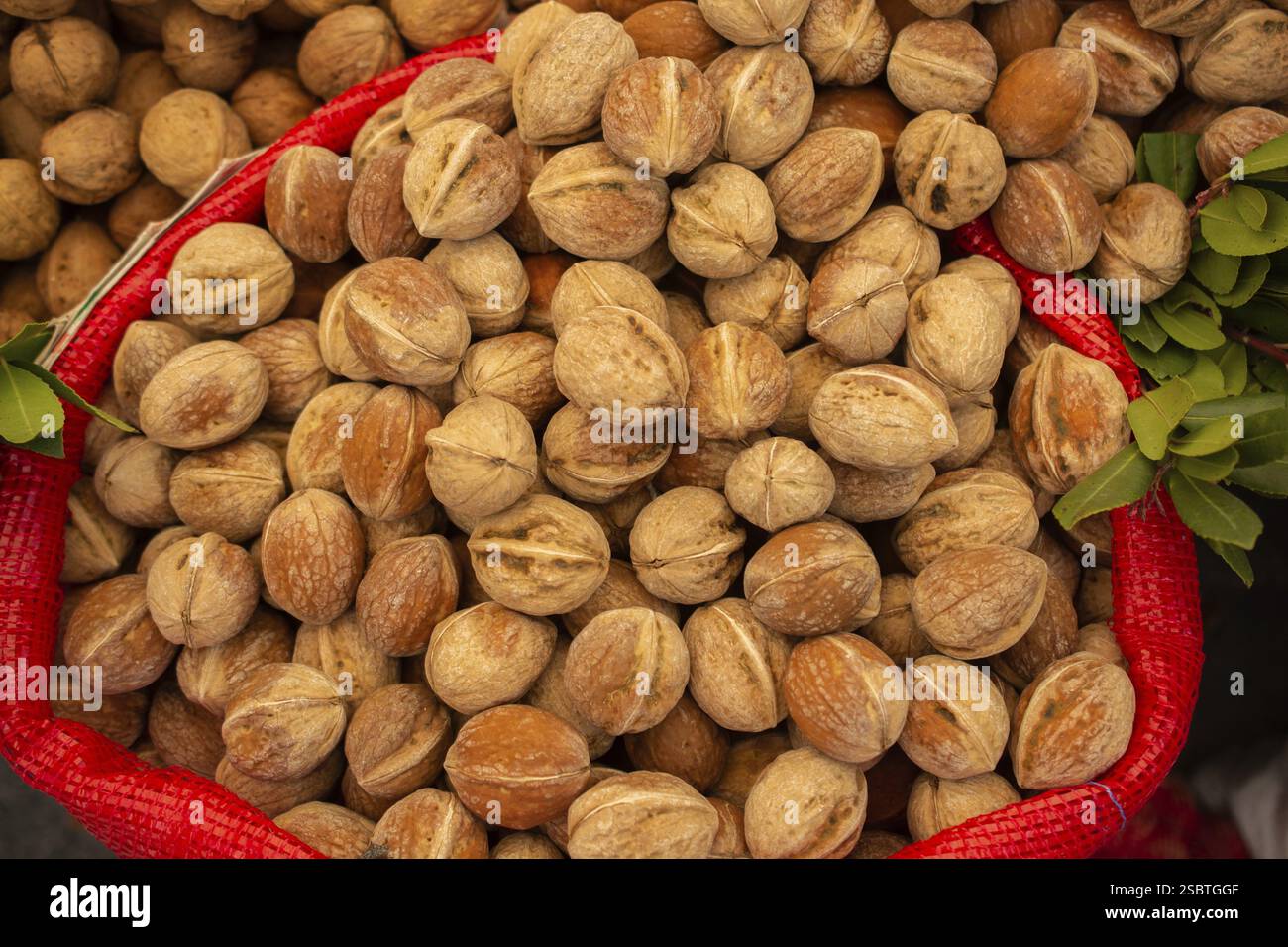Tutto lo sfondo delle noci. Sano concetto di cibo organico Foto Stock