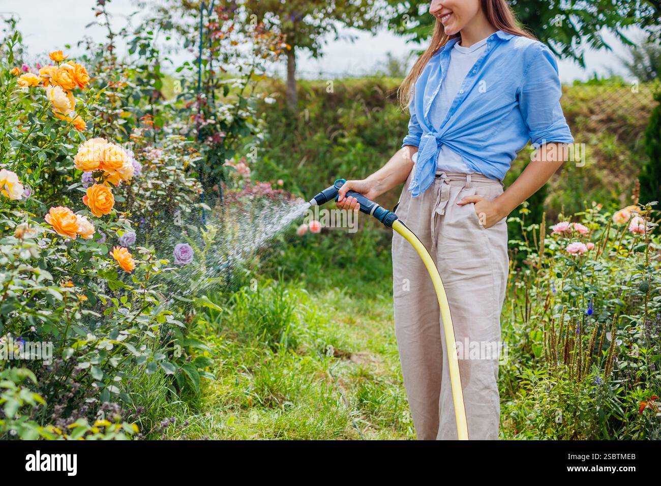 Donna felice giardiniere annaffiare piante con tubo flessibile nel giardino estivo. Prendersi cura dei fiori di rosa in fiore. Attrezzature per il giardinaggio. Stile di vita Foto Stock