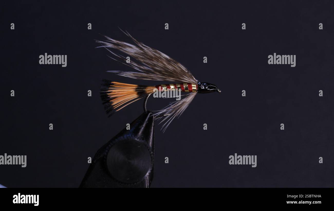Dettaglio macro di un richiamo per la pesca con la mosca realizzato a mano con piume morbide e fili sintetici, realizzato per catturare trote e grigi in ambienti di acqua dolce Foto Stock
