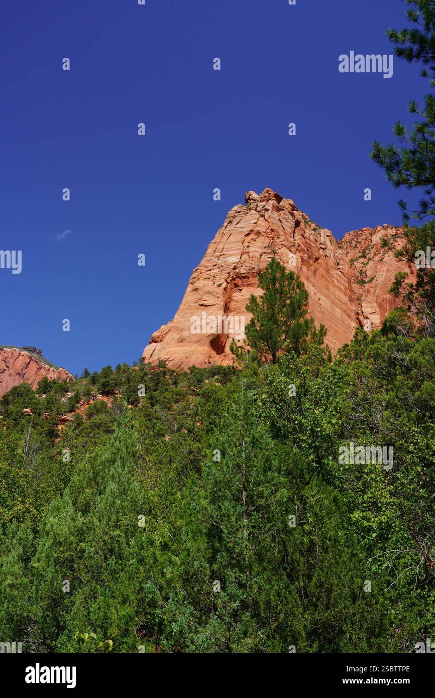 Taylor Creek Trail - Zion National Park Foto Stock