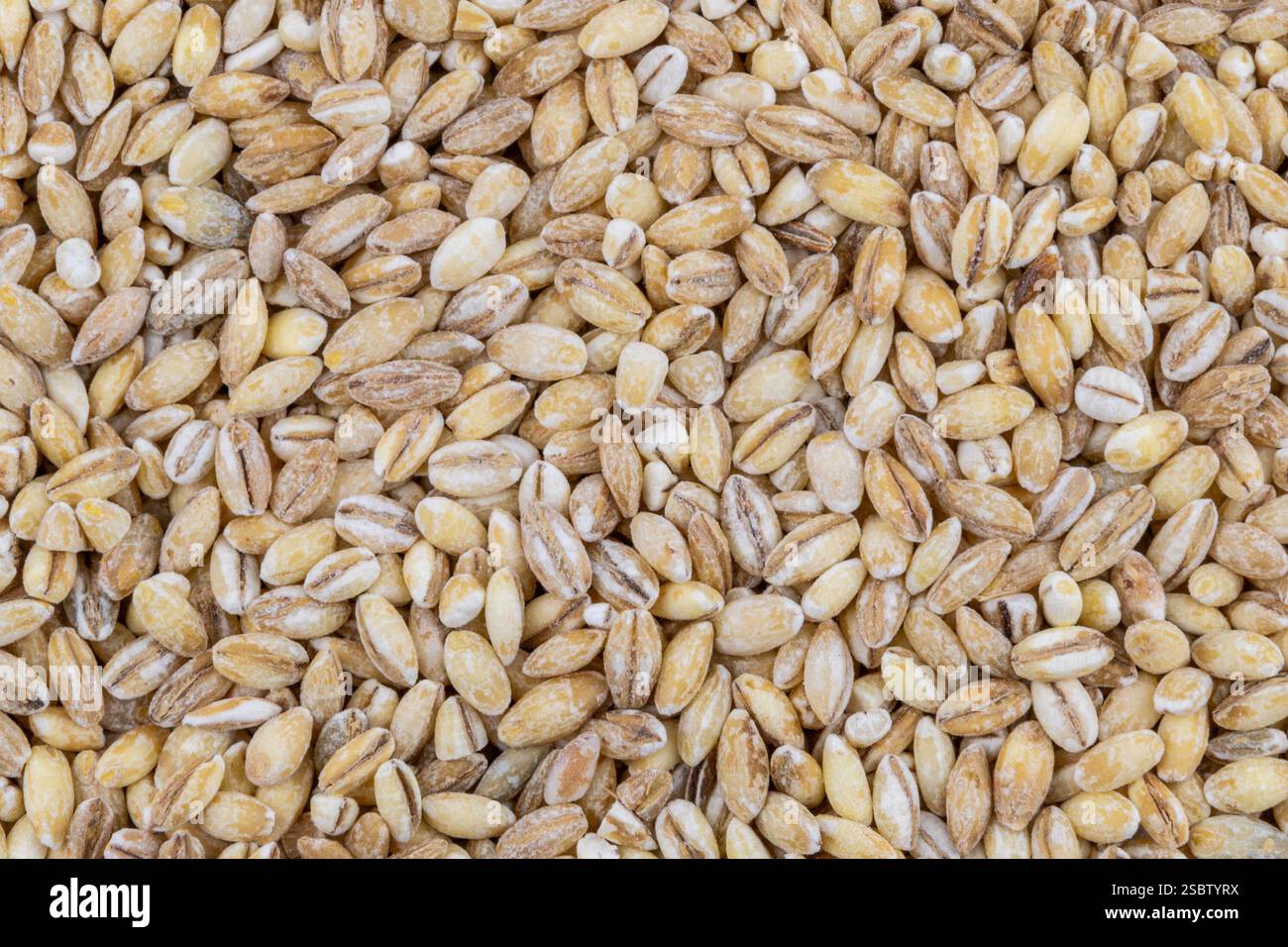 Orzo perlato, orzo perlato. Background alimentare. Una corretta alimentazione. Foto Stock