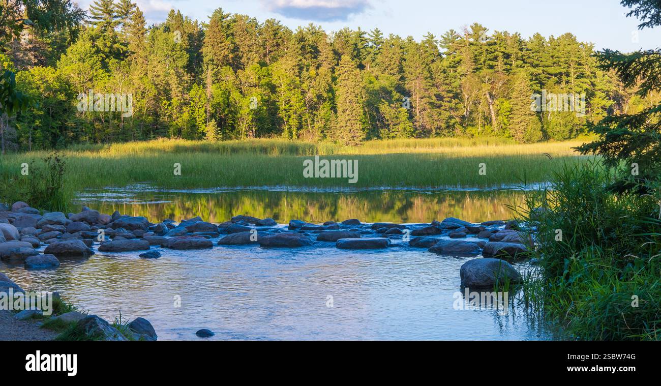 La sorgente o l'inizio o l'inizio del fiume Mississippi presso il lago Itasca nel Minnesota. Acqua, alberi, canne, rocce e litorale alla luce della sera. Foto Stock