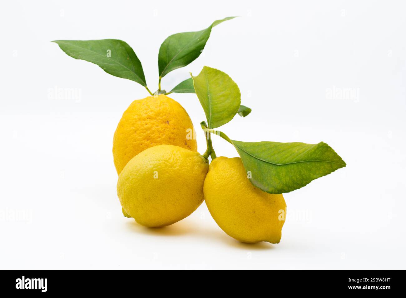 Limones recién cogidos con hojas verdes, aislado en blanco Foto Stock