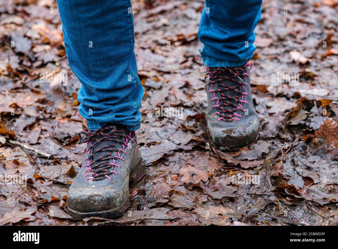 Scarpe da passeggio su un sentiero umido ricoperto di foglie | Chaussures de marche dans un sentier humide couvert de feuilles Foto Stock