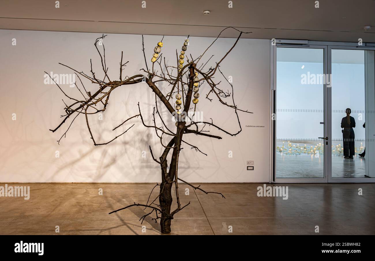 Apple Tree di Anya Gallaccio alla mostra Preserve di Turner Contemporary, Margate Foto Stock