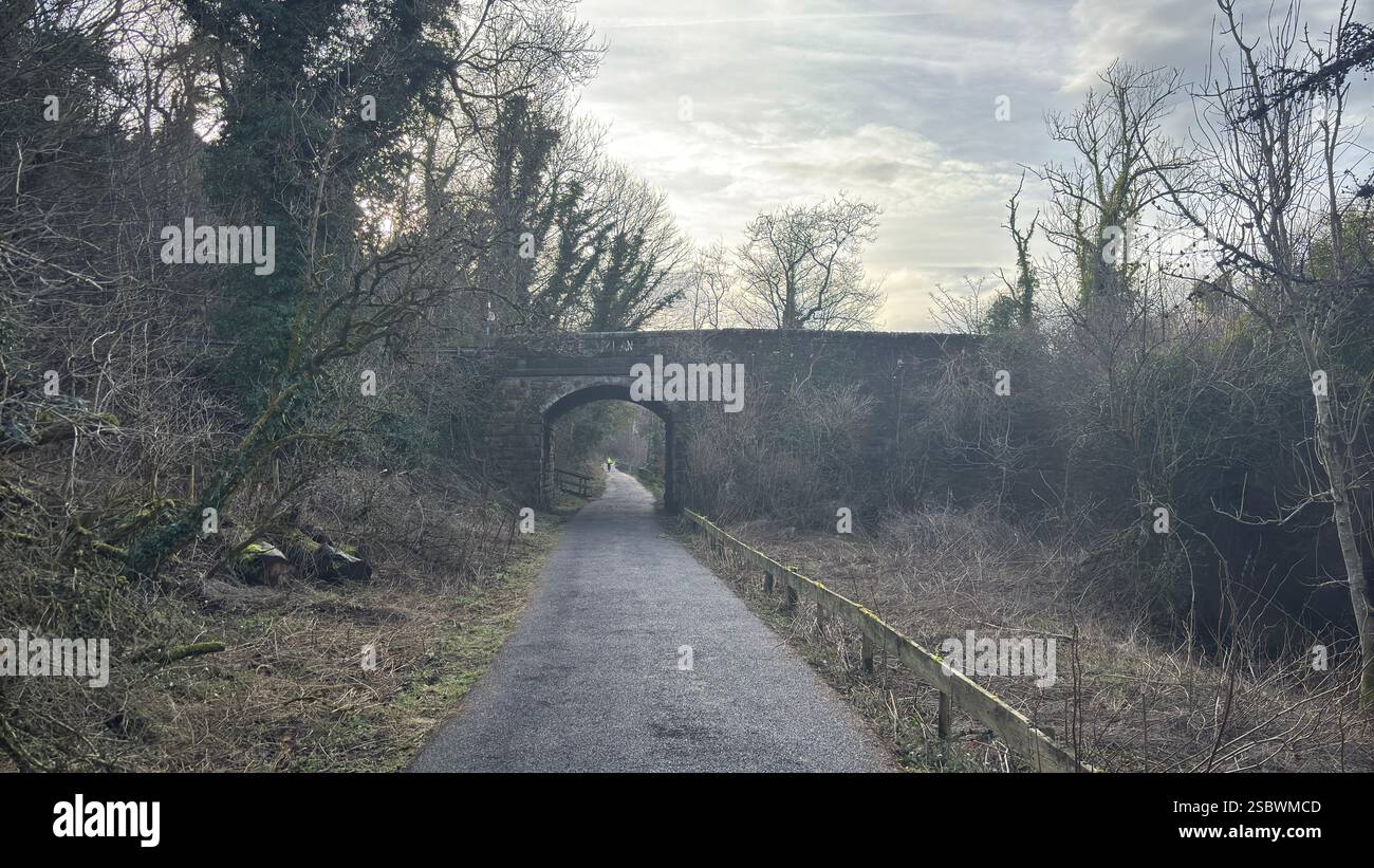 Vecchi ponti ferroviari su una pista ciclabile in periferia. Edimburgo, Scozia. Il paesaggio della pista ciclabile è vecchio Foto Stock