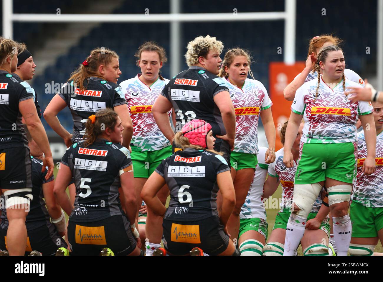 Exeter, Devon, Regno Unito. 2 febbraio 2025. PWR Professional Women's Rugby Exeter Chiefs contro Harlequins a Sandy Park, Exeter, Devon. Nella foto: Le squadre si preparano per una truffa. Crediti: Nidpor/Alamy Live News Foto Stock