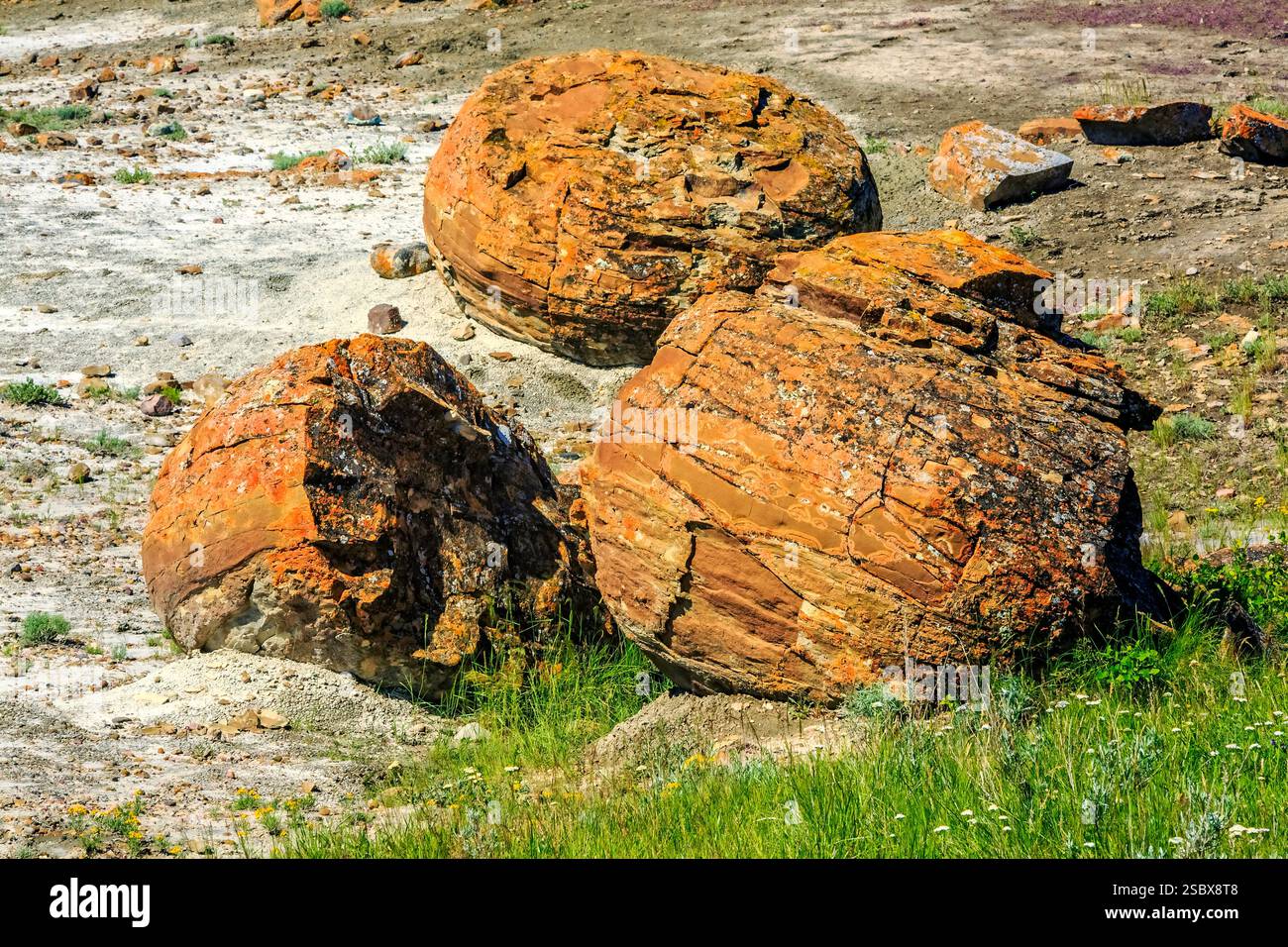 Tre grandi rocce sono sedute su un campo. Le rocce sono marroni e hanno una superficie ruvida. L'erba è verde e il terreno è asciutto Foto Stock