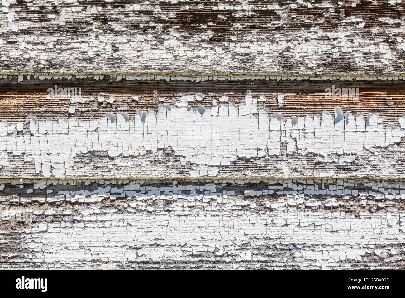 Il muro è fatto di legno e ha un lavoro di pittura bianco e marrone. La vernice si sta staccando dal muro, rivelando il legno sottostante. Il muro ha un ruvido Foto Stock