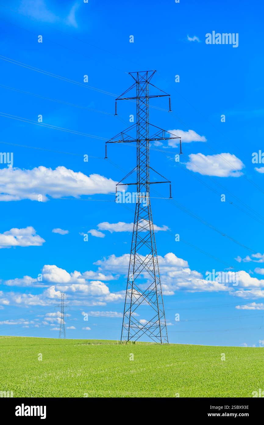 L'alta torre della linea elettrica si trova al centro di un campo. Il cielo è limpido e blu Foto Stock