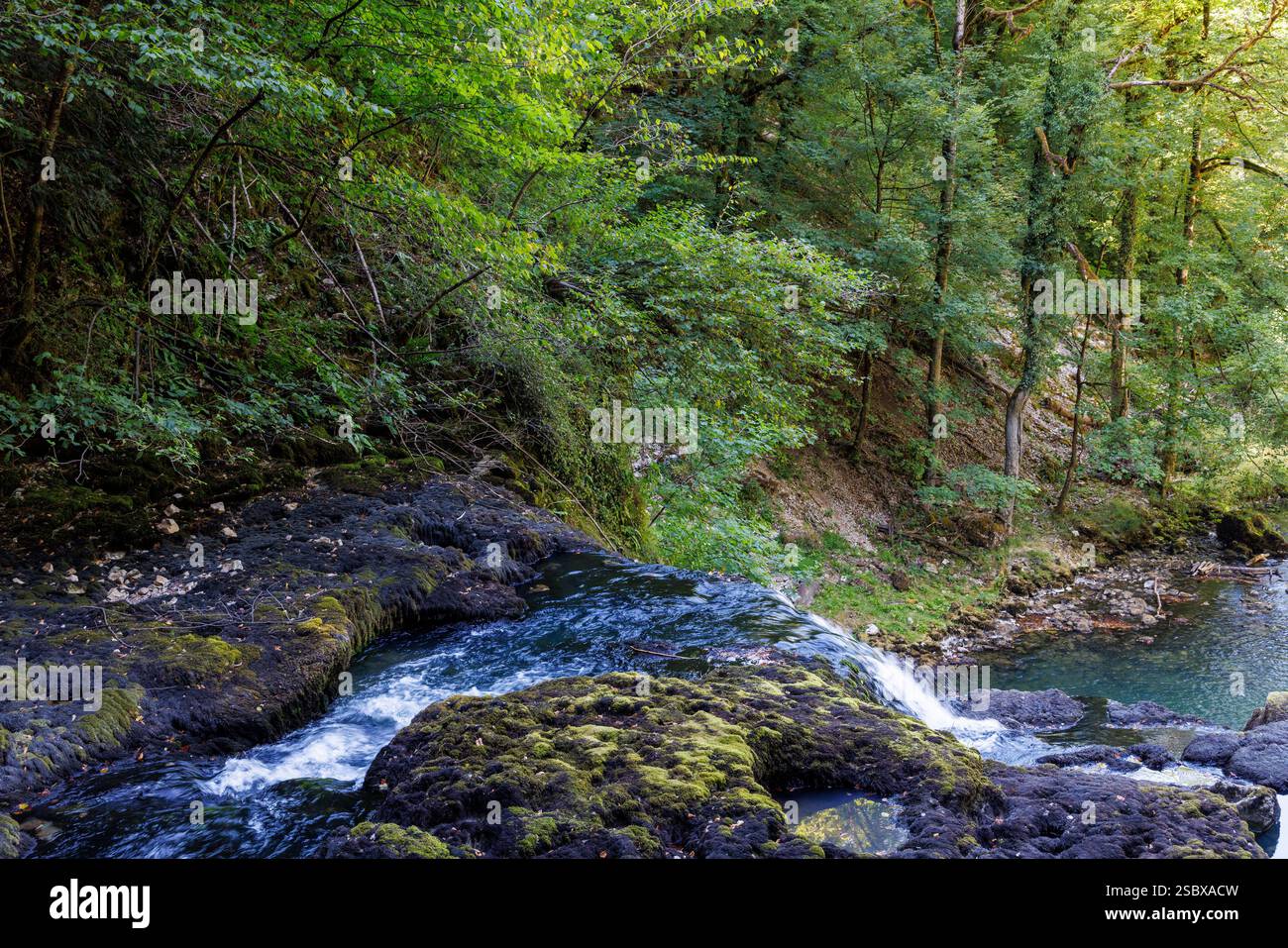 Fiume che scorre attraverso i boschi alla sorgente del Lison, Nans-sous-Sainte-Anne, Doubs, Francia Foto Stock