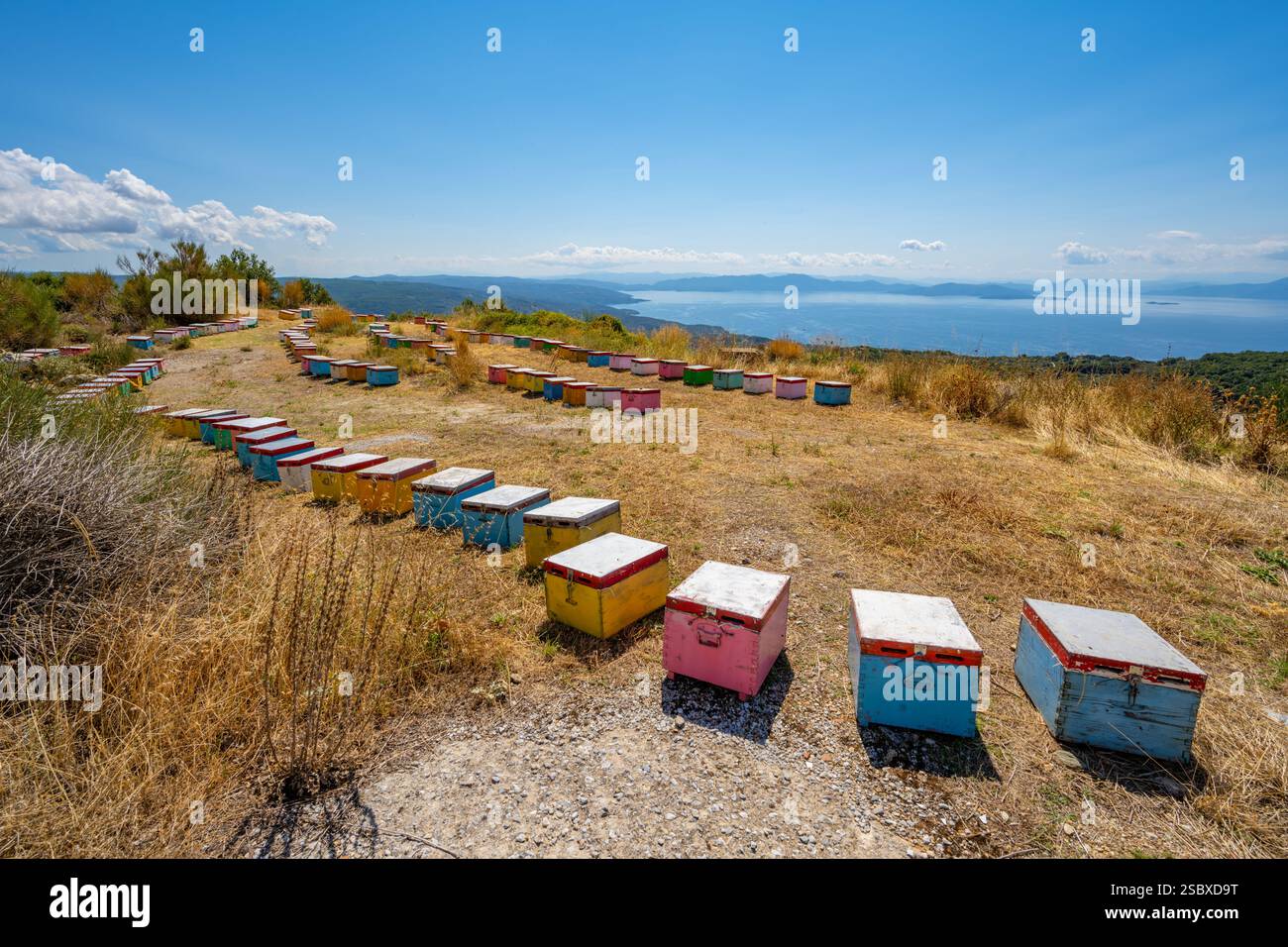 Alveari in un campo vicino al villaggio di montagna di Vizitsa vicino a Milies nel Pilio Grecia Foto Stock