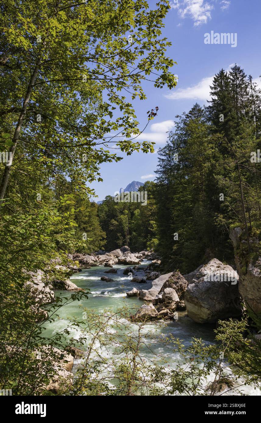Torrente, Triftsteig lungo il fiume Saalach nei pressi di Lofer, Saalachtal, Pinzgau, provincia di Salisburgo, Austria, Europa Foto Stock