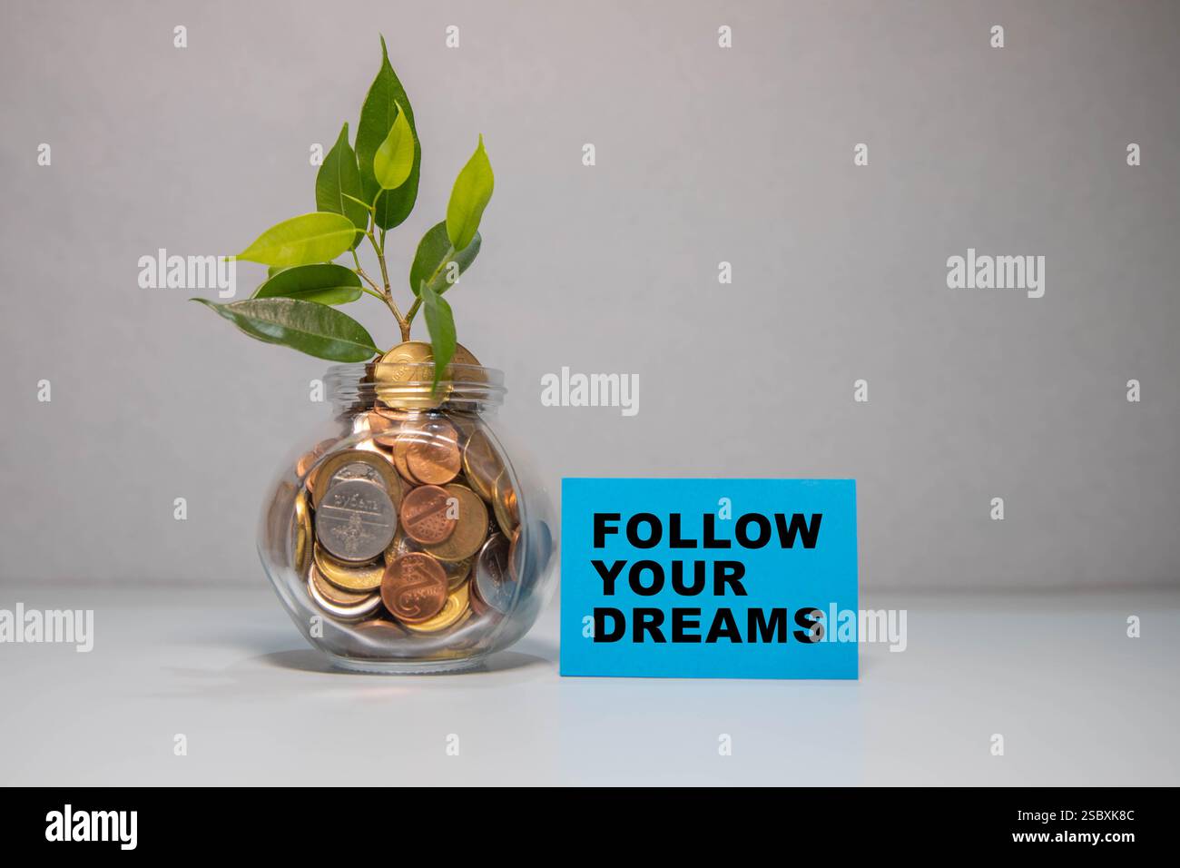 testo segui i tuoi sogni su carta strappata. Foto Stock