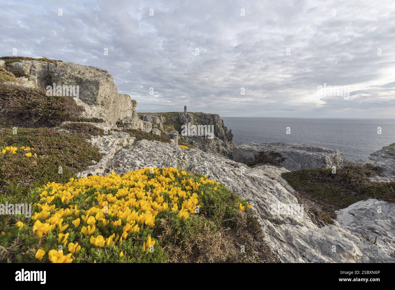 Costa rocciosa di Camaret-sur-Mer nel dipartimento del Finistere, nel nord-ovest della Francia, con fiori gialli davanti e un cielo parzialmente nuvoloso Foto Stock
