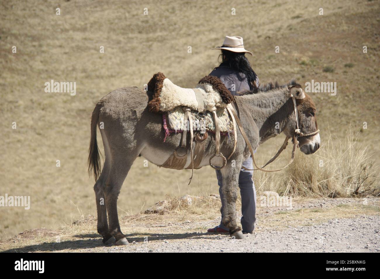 Un momento di pace Foto Stock