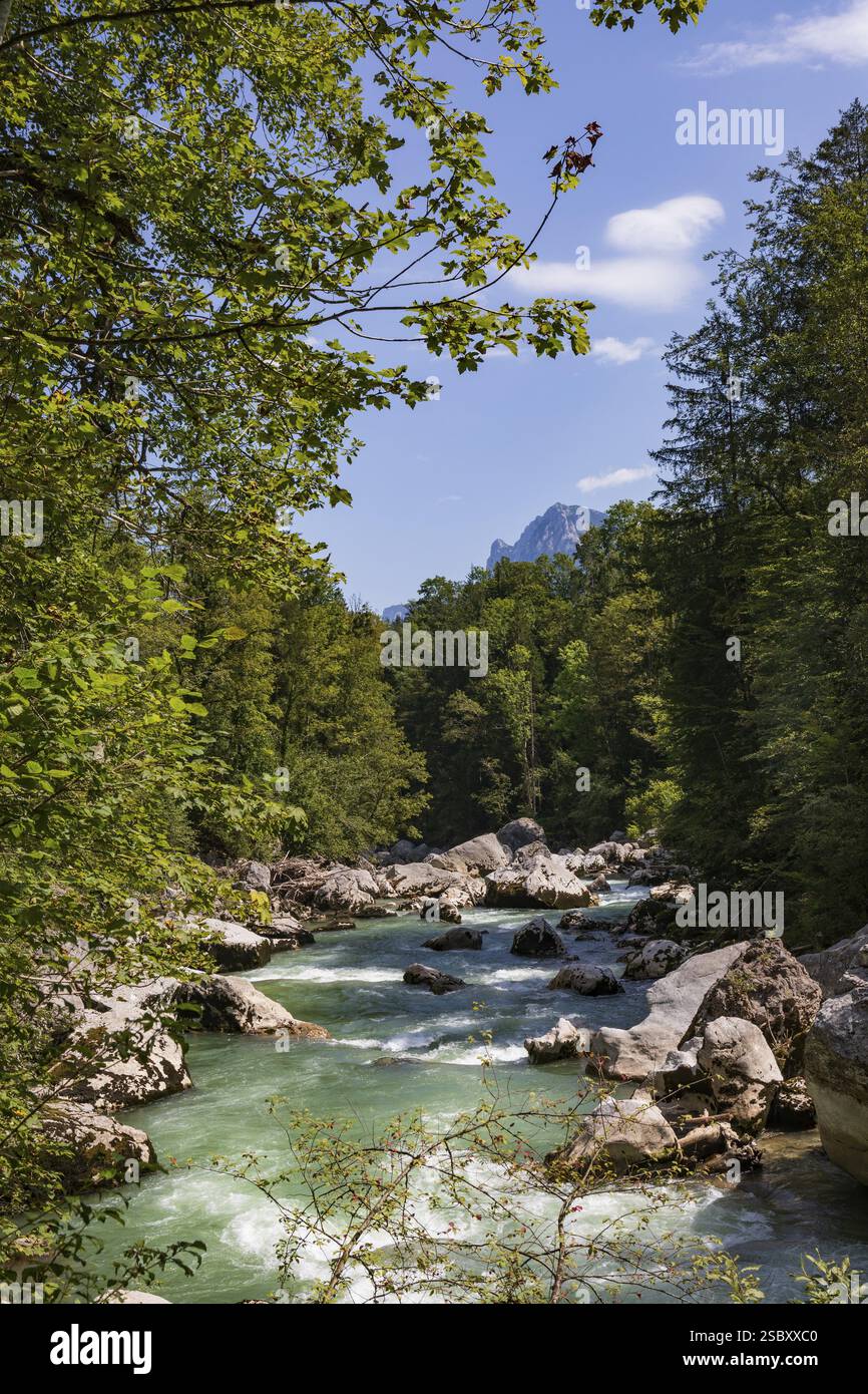 Torrente di montagna, Saalach nei pressi di Lofer, Saalachtal, Pinzgau, provincia di Salisburgo, Austria, Europa Foto Stock