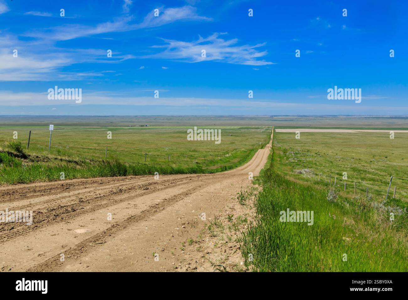Strada sterrata con un campo erboso sullo sfondo. La strada è vuota. C'è un cartello sul lato della strada Foto Stock