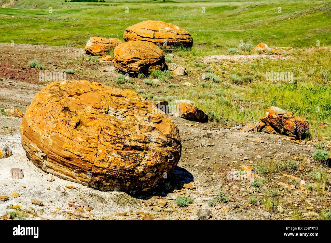 Una grande roccia è seduta nello sporco. Ci sono altre rocce nella zona. Il terreno è ricoperto di erba Foto Stock