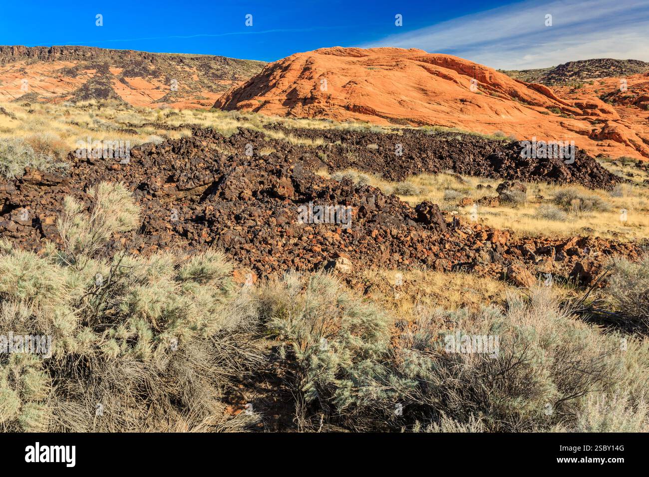 Collina rocciosa con molti arbusti ed erba. L'erba è marrone e gli arbusti sono verdi Foto Stock