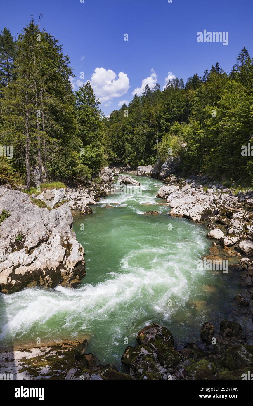 Torrente, Triftsteig lungo il fiume Saalach nei pressi di Lofer, Saalachtal, Pinzgau, provincia di Salisburgo, Austria, Europa Foto Stock