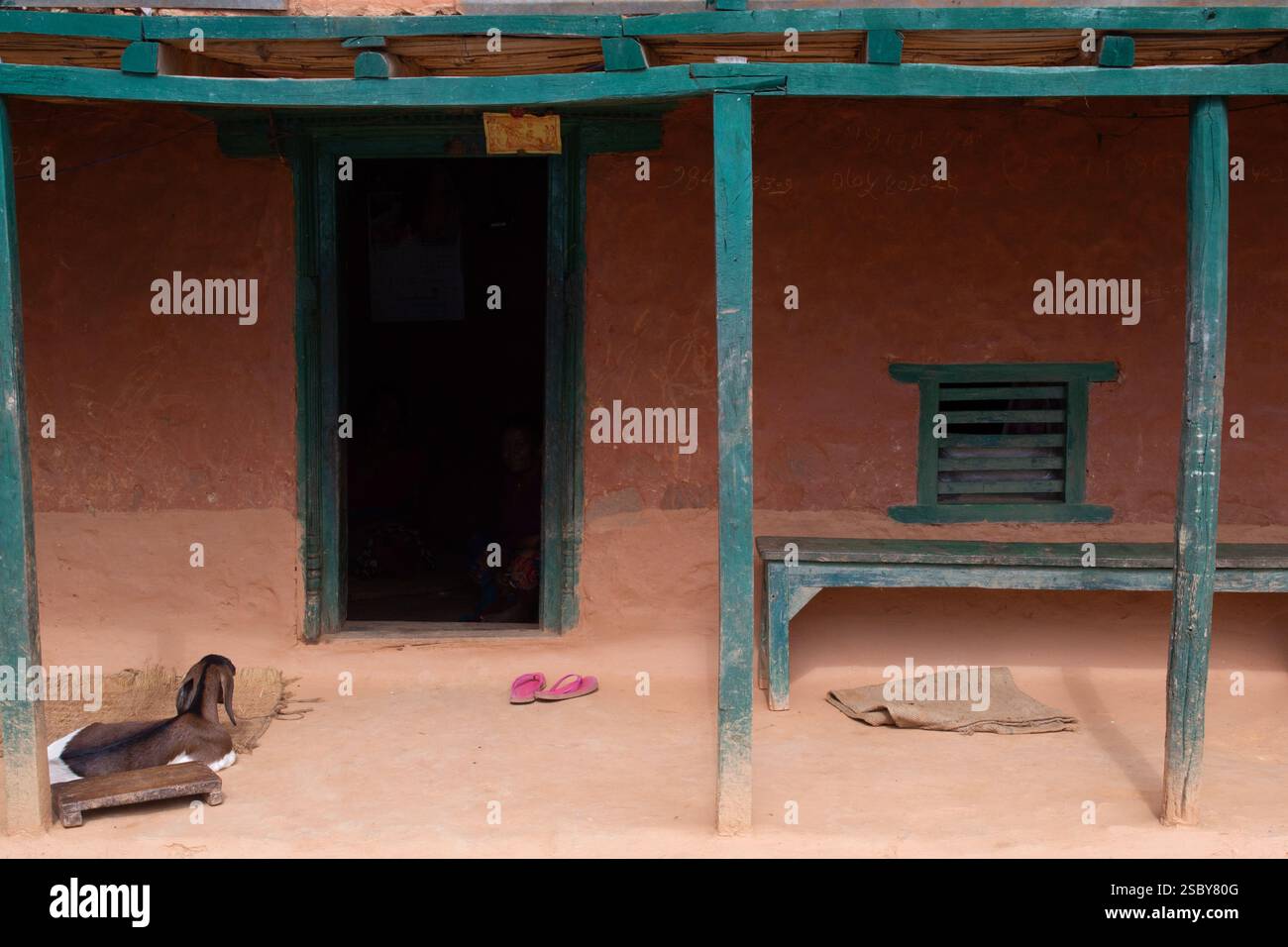Regione occidentale, Nepal. Capra fuori dalla porta di casa rurale Foto Stock