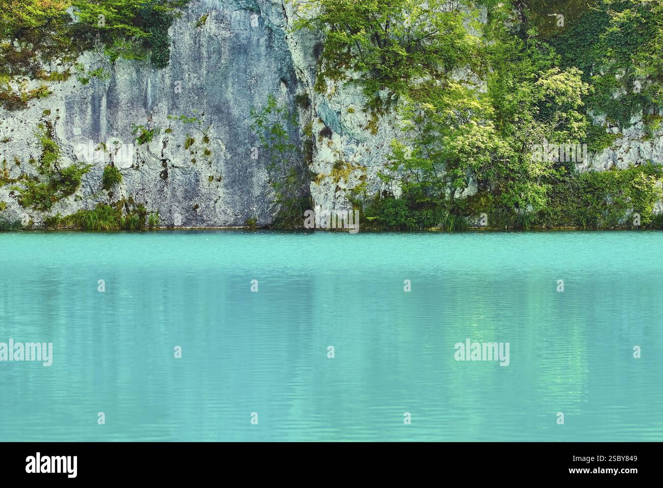 Laghi nel Parco Nazionale di Plitvice, Croazia Plitvice, Croazia, Europa Foto Stock