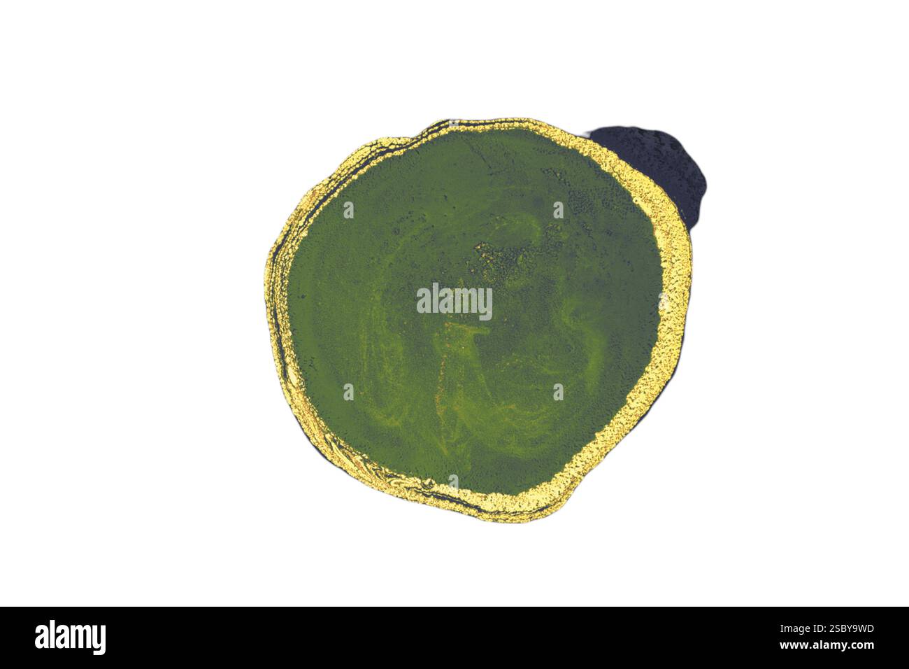 Sfondi eleganti e con eleganti motivi minimal. Astratta texture moderne. Design alla moda Foto Stock