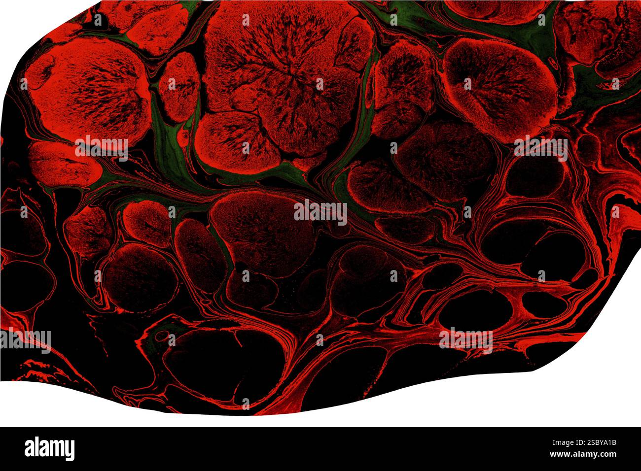 Sfondi eleganti e con eleganti motivi minimal. Astratta texture moderne. Design alla moda Foto Stock