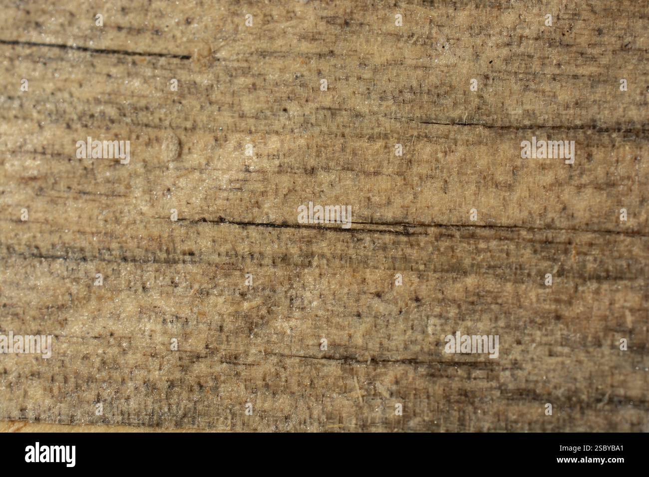 Texture di legno con motivi naturali come sfondo Foto Stock