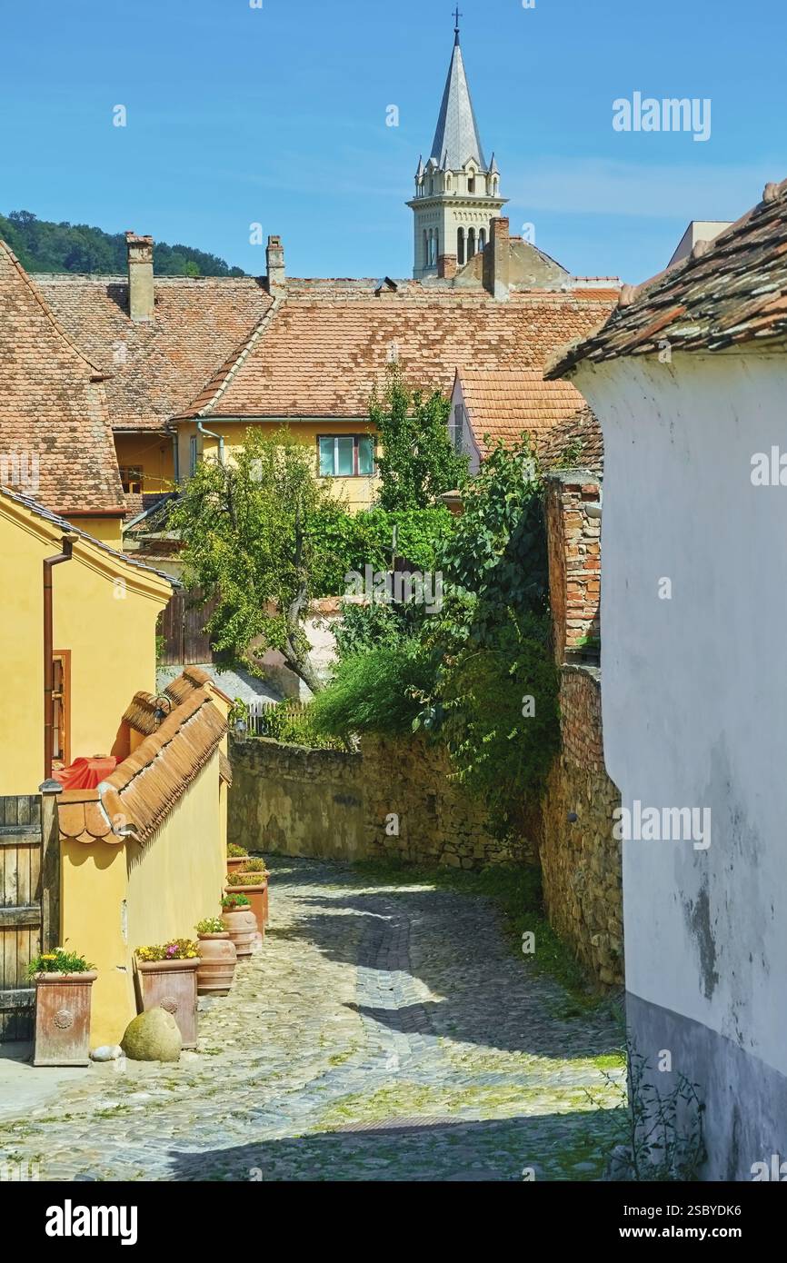 Street nel centro storico di Sighisoara, Romania Sighisoara, Romania, Europa Foto Stock