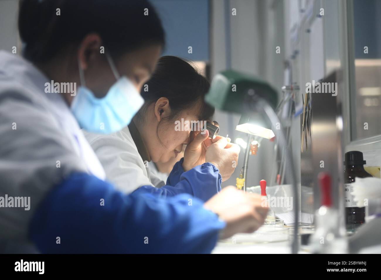 HANGZHOU, CINA - 5 FEBBRAIO 2025 - lavoratori qualificati producono lenti endoscopiche mediche per l'esportazione negli Stati Uniti presso l'officina di produzione di AN Foto Stock