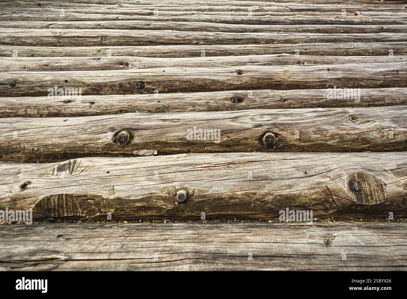 Contesto astratto di vecchi tronchi Araisi, Lettonia, Europa Foto Stock