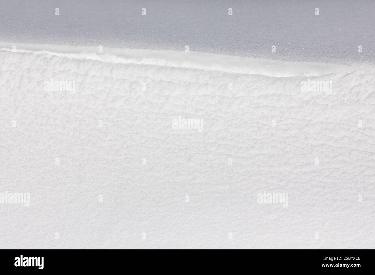 Sfondo trama di neve polverosa, bianco incontaminato, intatto, alla luce del mattino dopo una forte nevicata Foto Stock