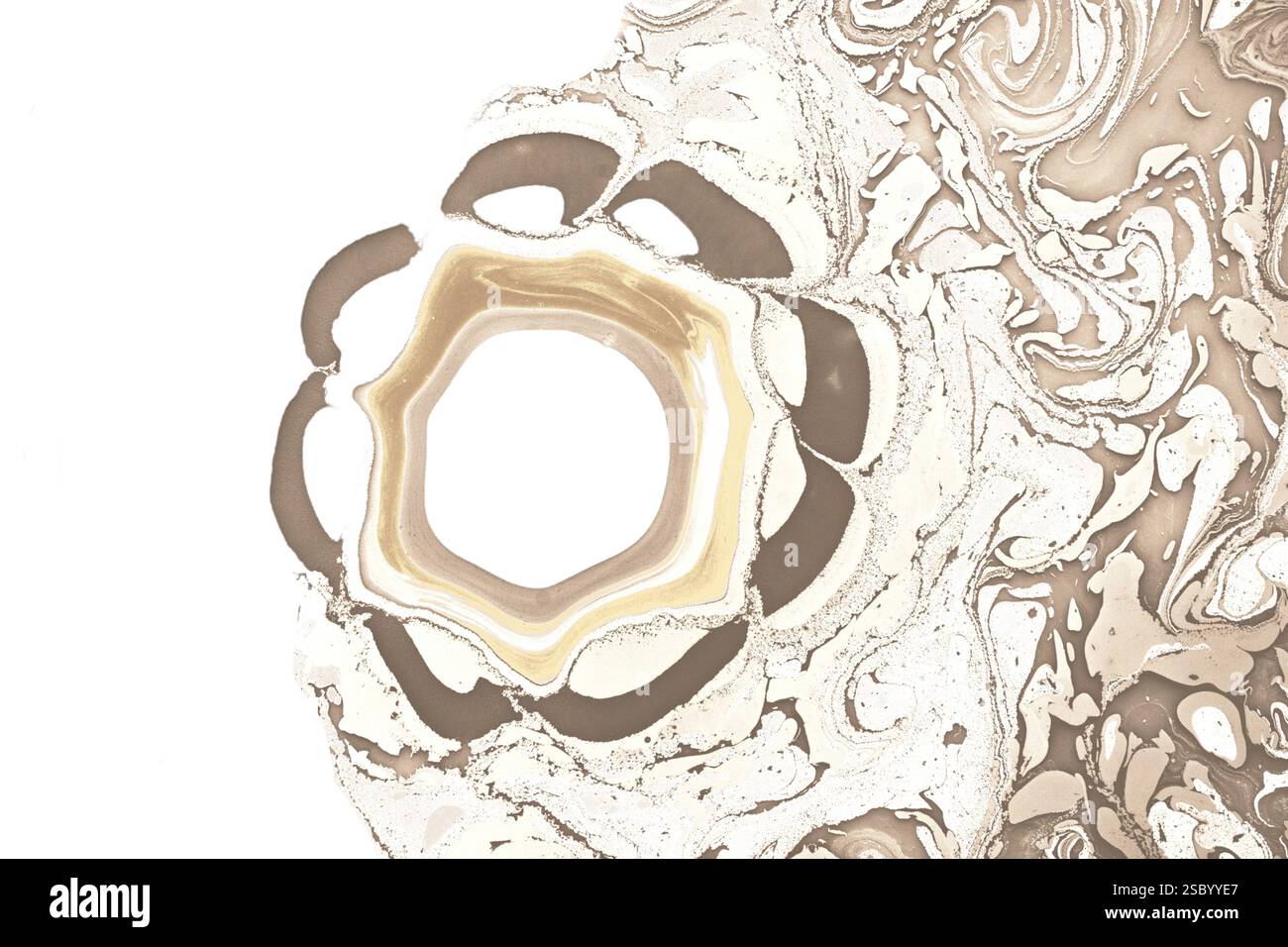 Sfondi eleganti e con eleganti motivi minimal. Astratta texture moderne. Design alla moda Foto Stock