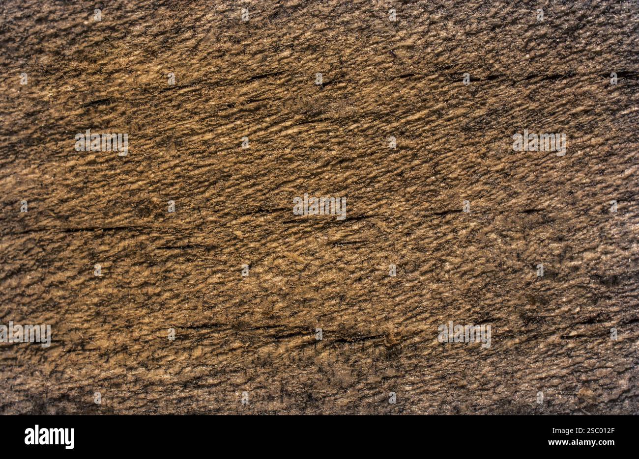 Texture di legno con motivi naturali come sfondo Foto Stock