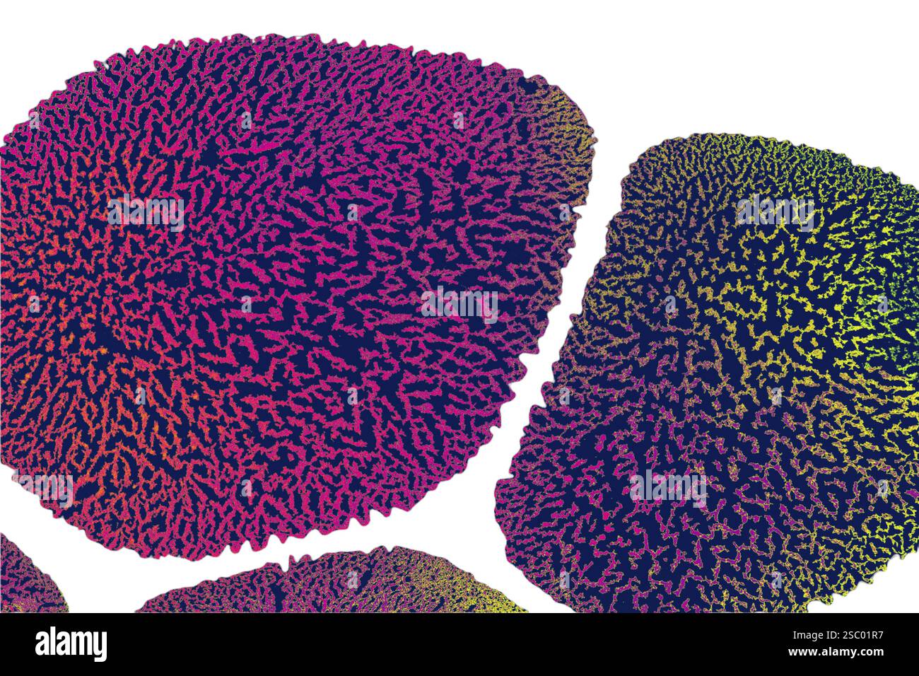 Sfondi eleganti e con eleganti motivi minimal. Astratta texture moderne. Design alla moda Foto Stock