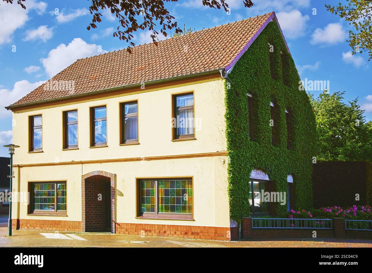 Casa, una delle quali è completamente coperta da Ivy Barsel, Germania, Europa Foto Stock