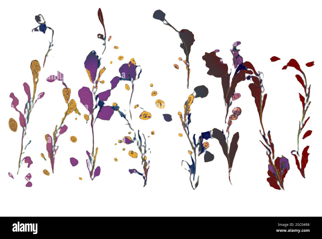 Sfondi eleganti e con eleganti motivi minimal. Astratta texture moderne. Design alla moda Foto Stock