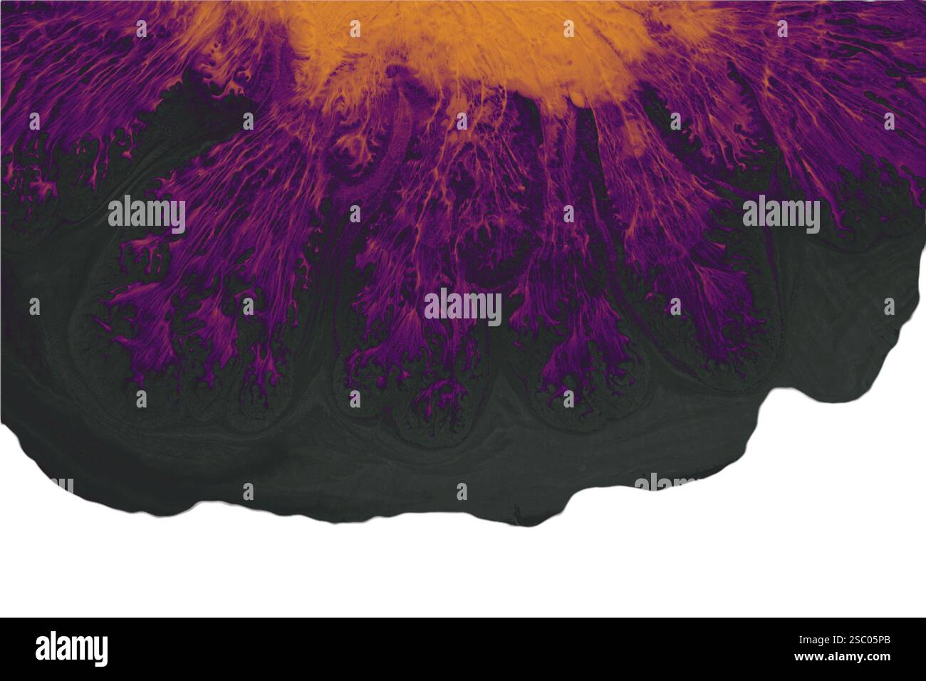 Sfondi eleganti e con eleganti motivi minimal. Astratta texture moderne. Design alla moda Foto Stock