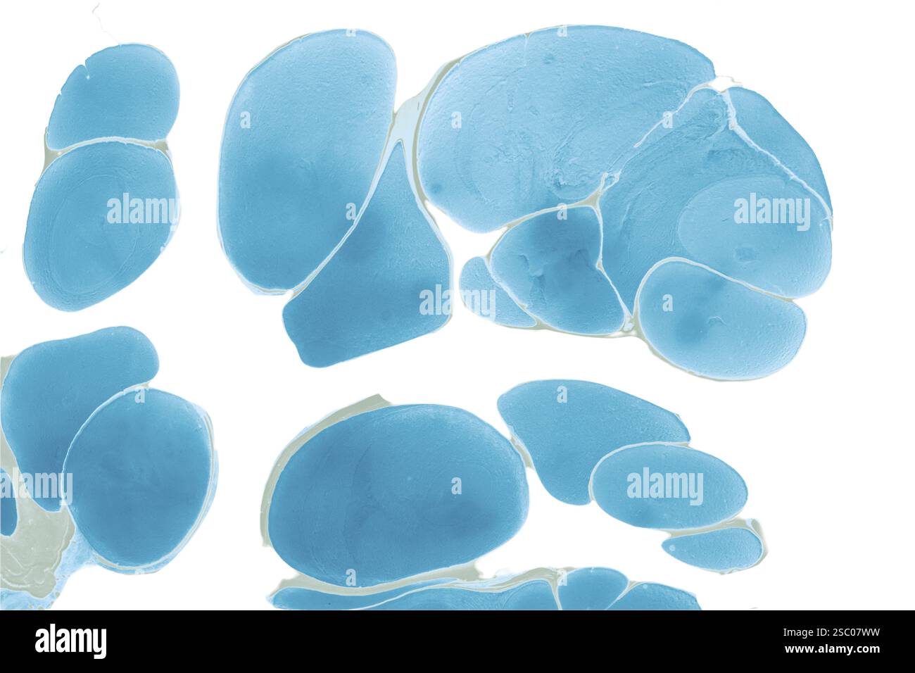 Sfondi eleganti e con eleganti motivi minimal. Astratta texture moderne. Design alla moda Foto Stock