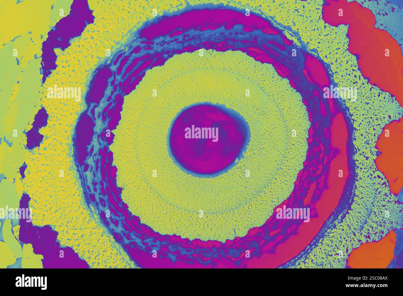 Bella arte astratta di tecniche di pittura di marbling Ebru sull'acqua con vernici acriliche Foto Stock