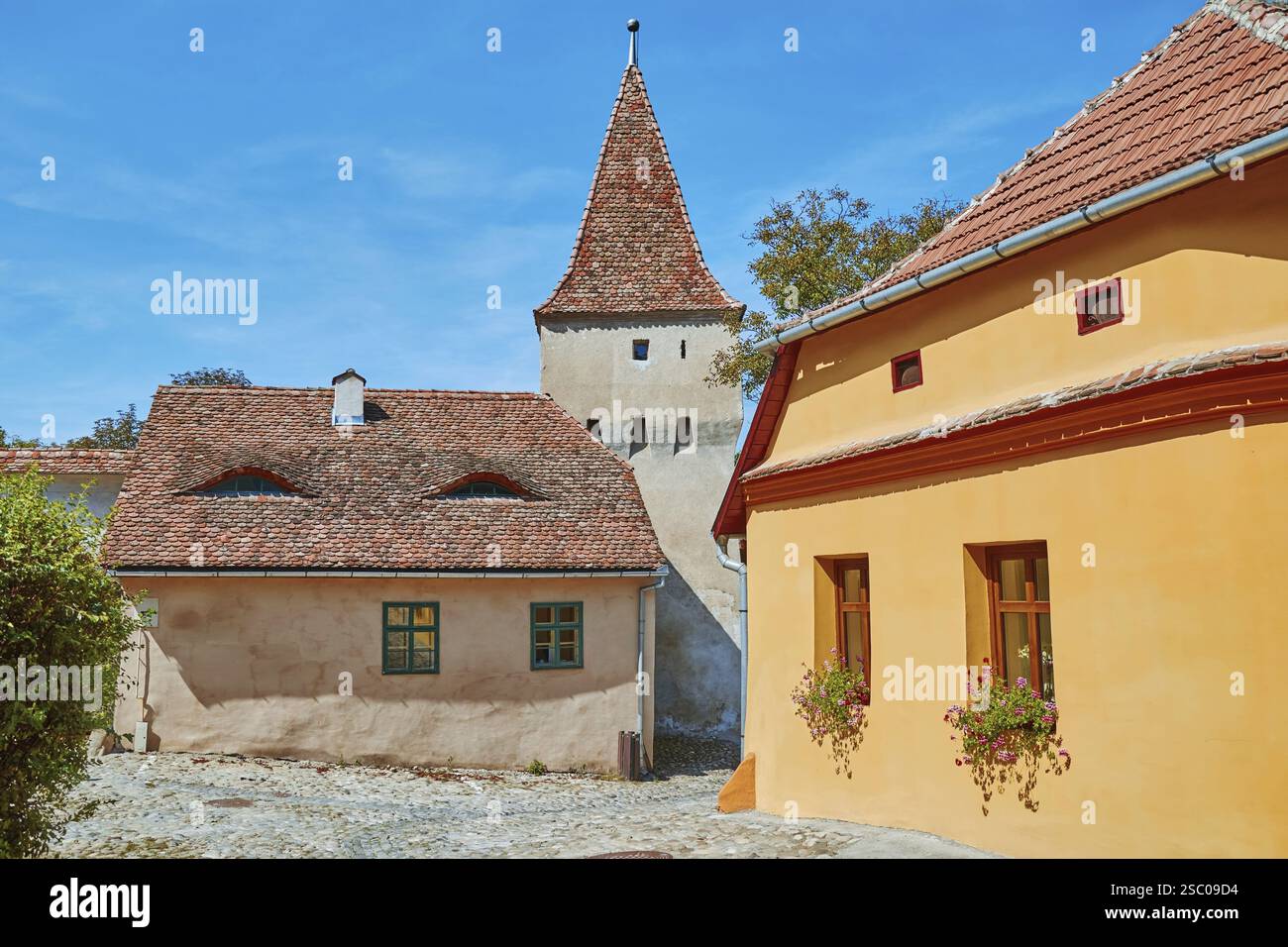 Street nel centro storico di Sighisoara, Romania Sighisoara, Romania, Europa Foto Stock