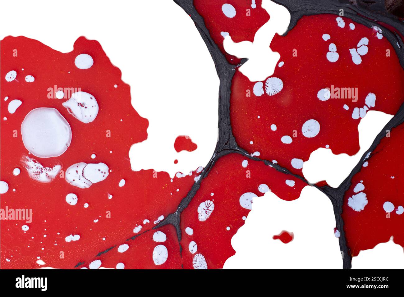 Sfondi eleganti e con eleganti motivi minimal. Astratta texture moderne. Design alla moda Foto Stock