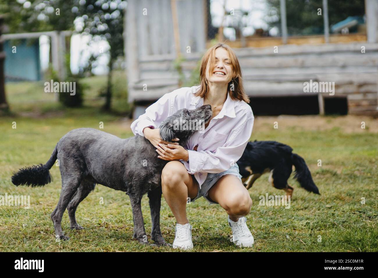 Donna con un cane all'aperto vicino a una cabina, sorridente e divertente atmosfera Foto Stock