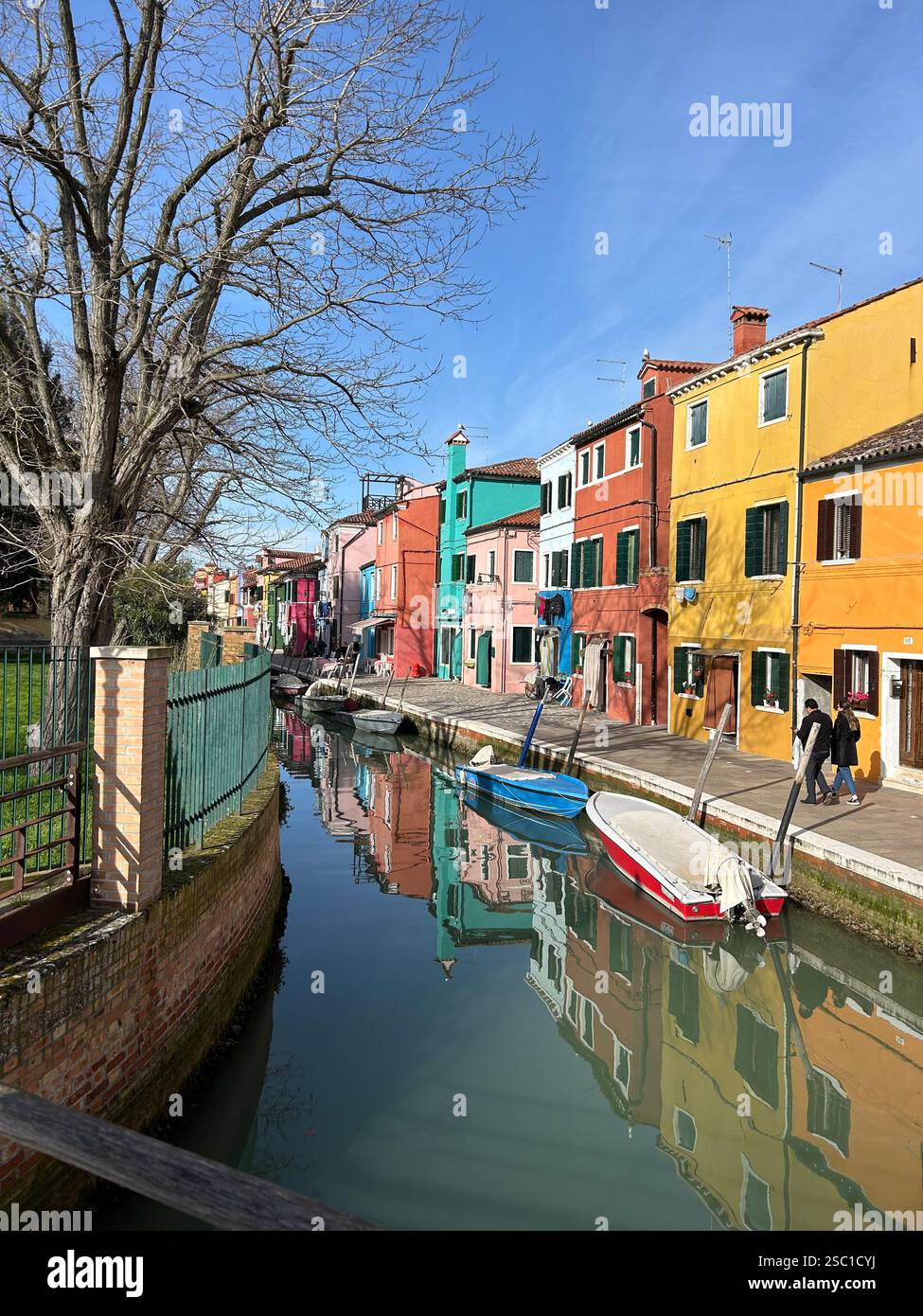 SOLO LA VITA - Immagine stock catturata con smartphone