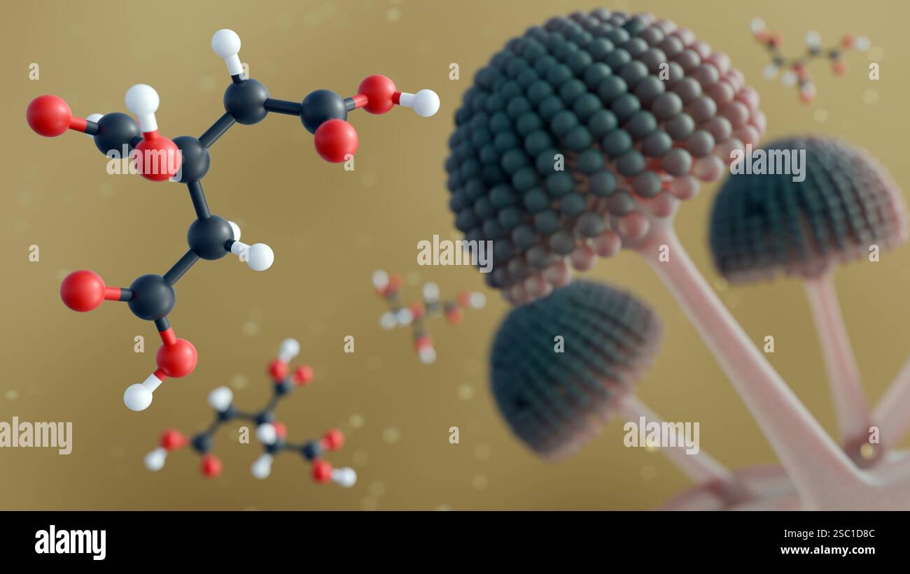Rendering 3d di Aspergillus niger e molecola sparsa di acidi citrici, questi stampi sono utilizzati industrialmente per produrre acido citrico. Foto Stock