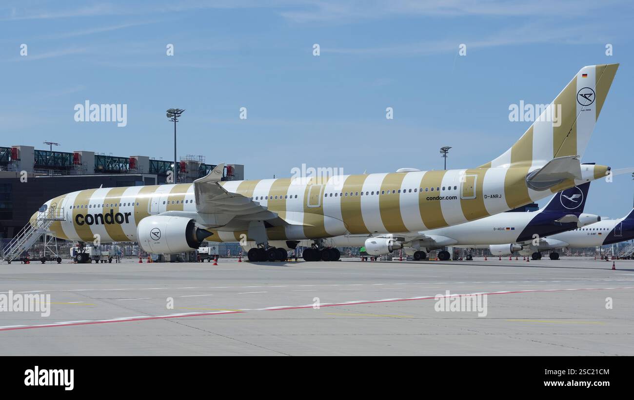 Beige ha bloccato l'aeromobile Condor Airbus A330-941 all'aeroporto di Francoforte (fra) in una posizione di parcheggio in una giornata di sole in Germania. Vista dal campo mobile Foto Stock
